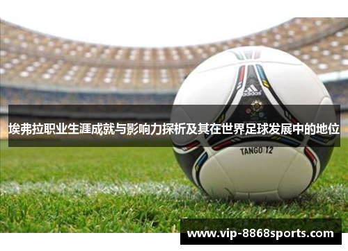 埃弗拉职业生涯成就与影响力探析及其在世界足球发展中的地位